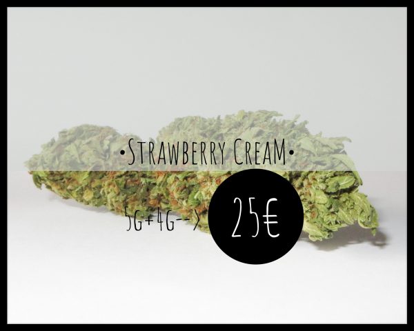 OFERTA Strawberry Cream 5g + 4g 25€